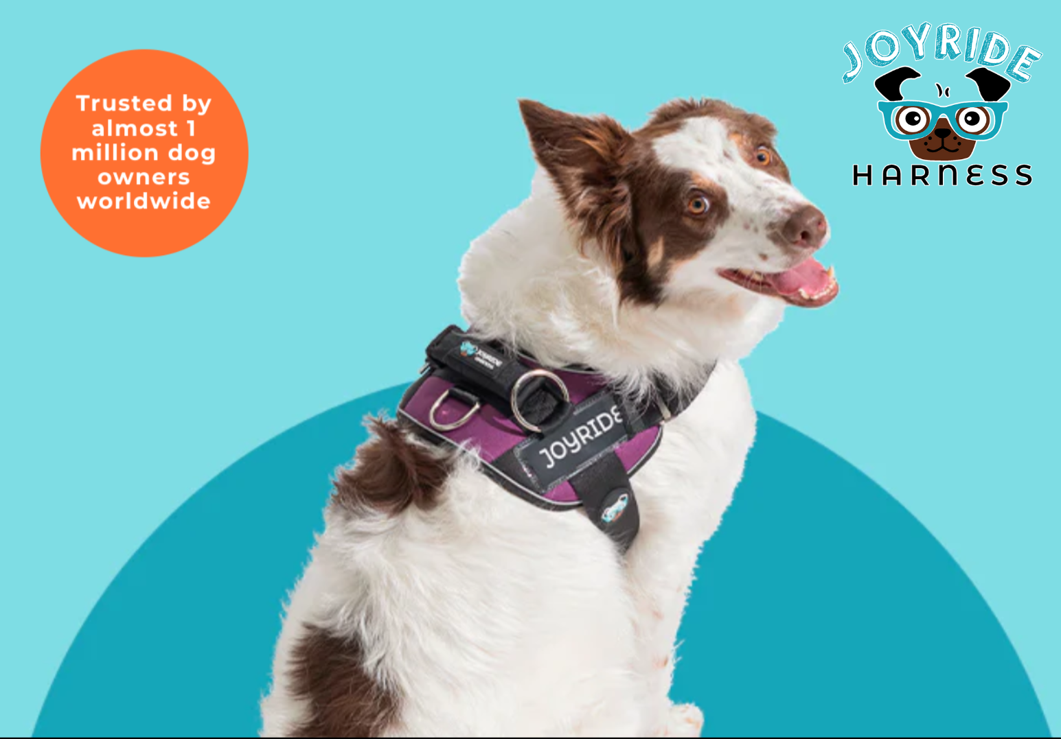 Get Joyride Harness