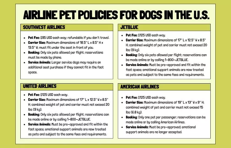 airline pet policies