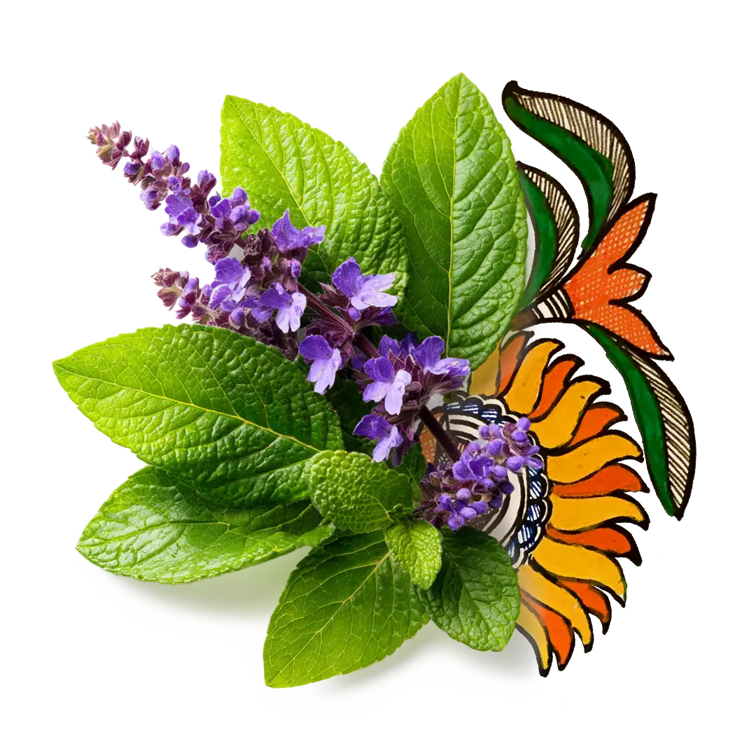 Patchouli Leaf