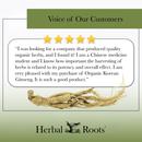 Voice of our customers with 5 stars and a picture of ginseng root. The review says "I was looking for a company that produced quality organic herbs, and I found it! I'm a Chinese medicine student and I know how important the harvesting of herbs is related to its potency and overall effect. I am very pleased with my purchase of Organic Korean Ginseng. It is such a good product."