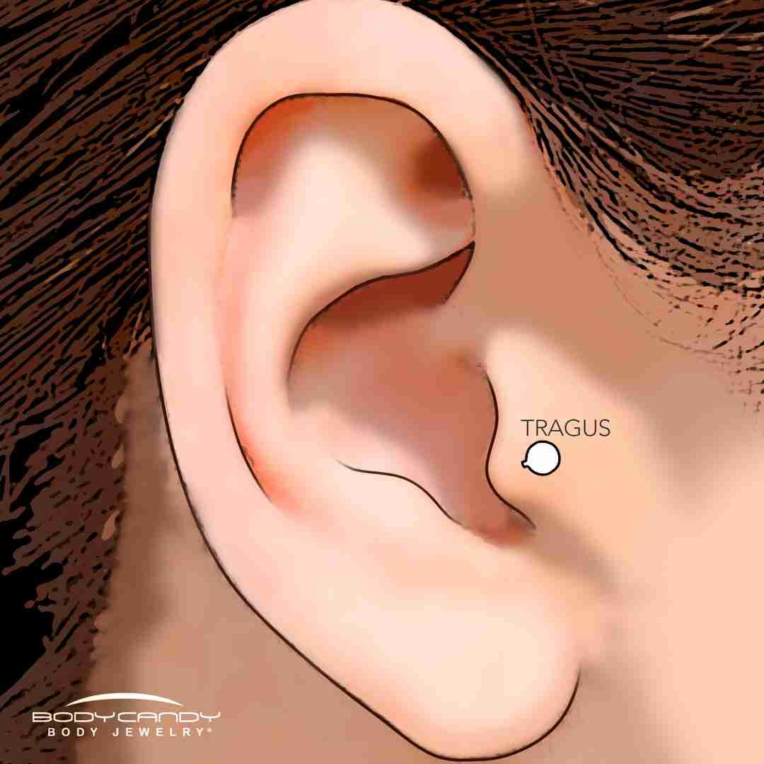 tragus earring