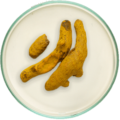 Turmeric