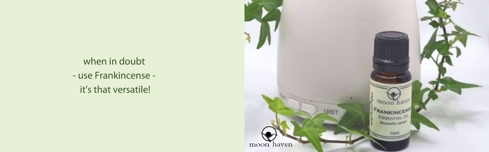 frankincense its versatile