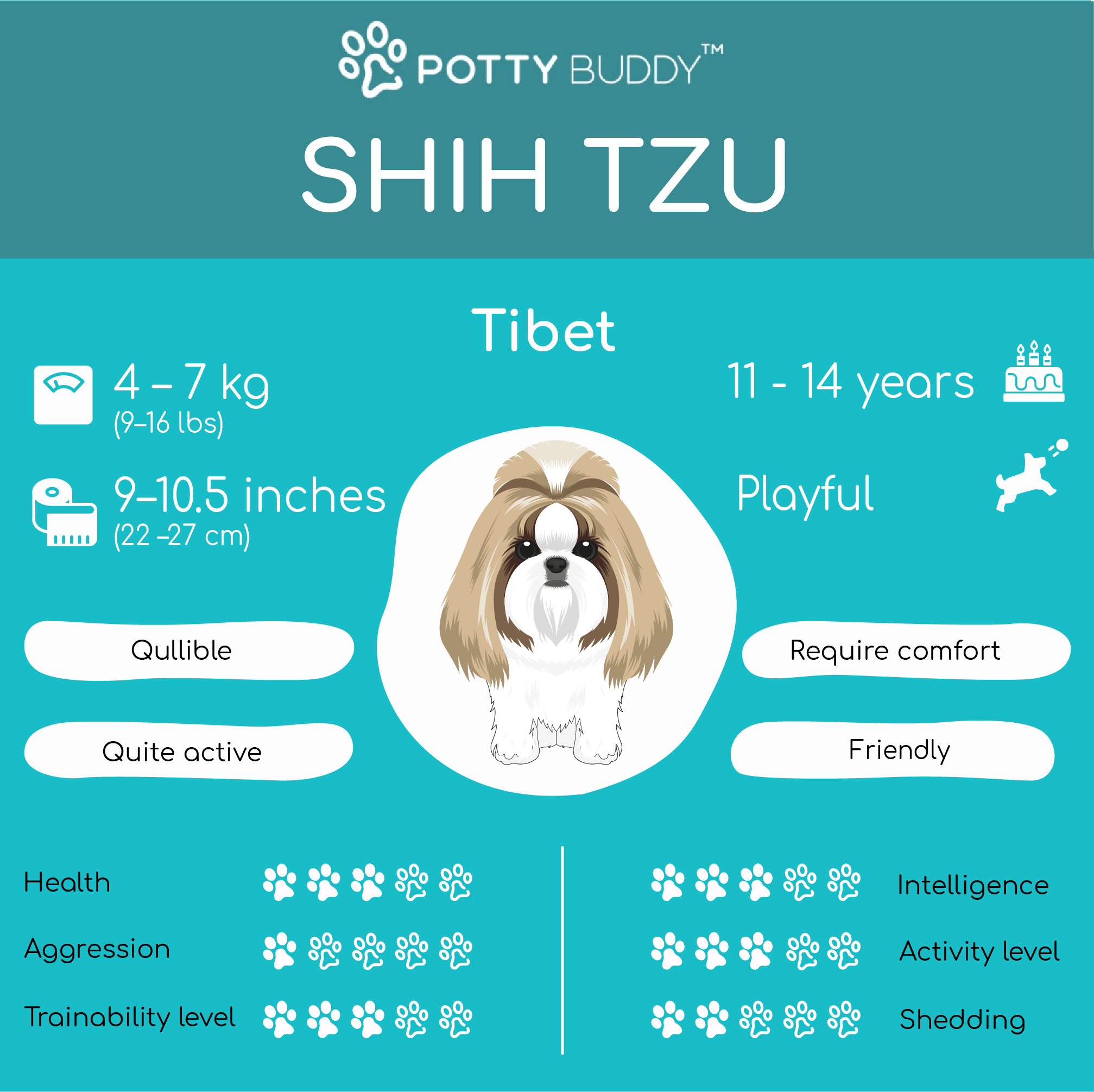 Shih Tzu Dog Characteristics in one picture