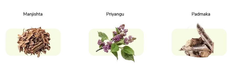 Manjishta, Priyangu and Padmaka - Indian herbs