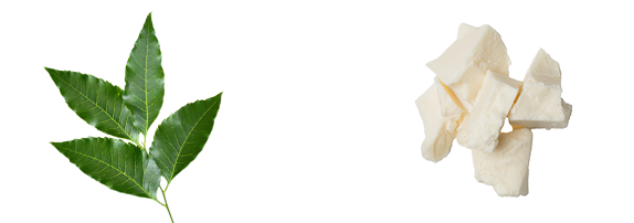 Neem Leaves and Murumuru Seed Butter image