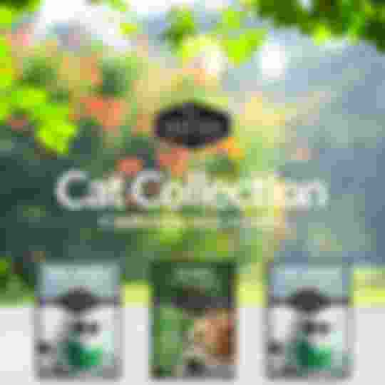 Cat Collection - 3 Heirloom seed packets of catnip and cat grass seeds