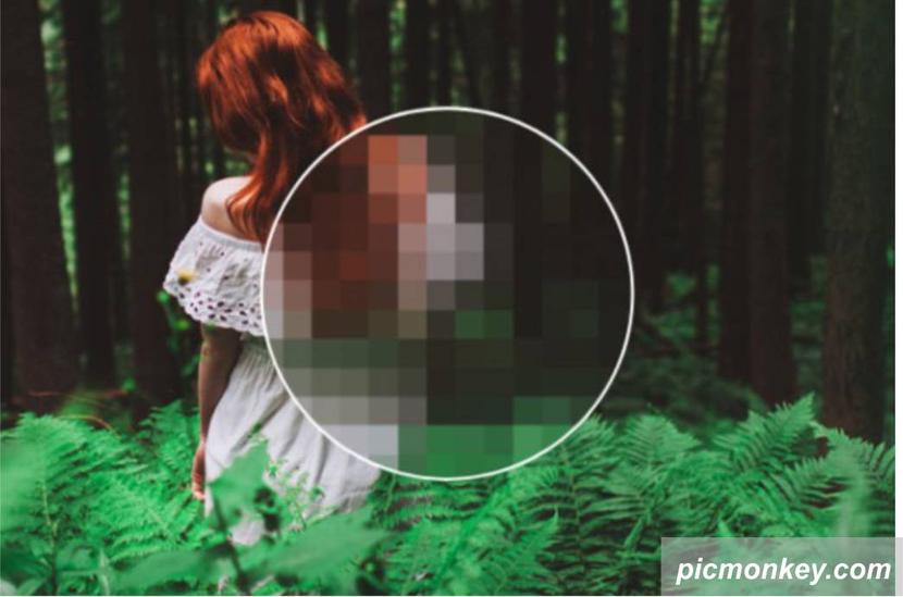 5 Tips Cetak Foto Berkualitas dan Tidak Pecah