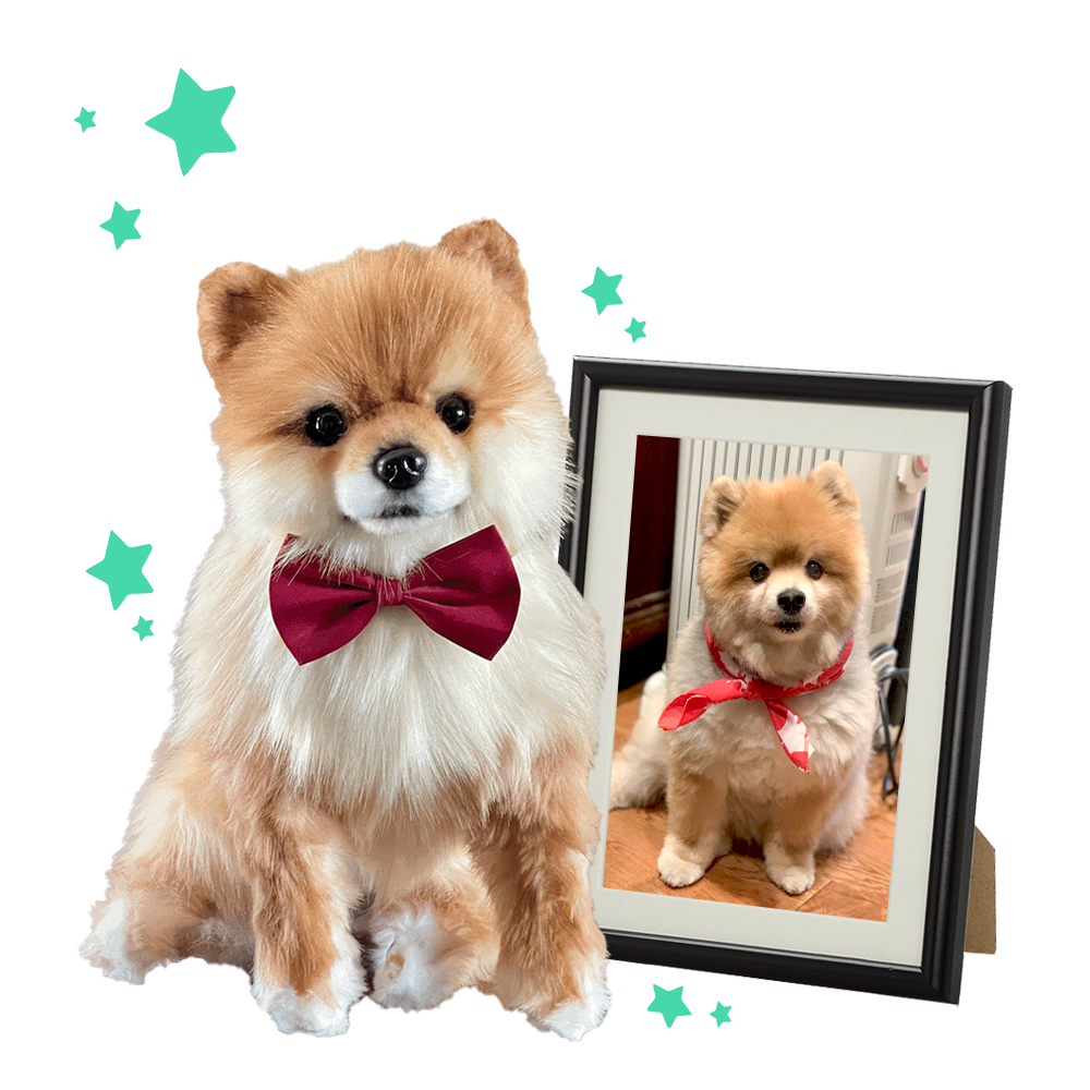 How to Customize Your Perfect Clone