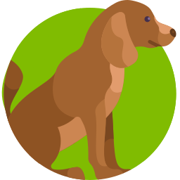 An illustrated icon of a brown dog