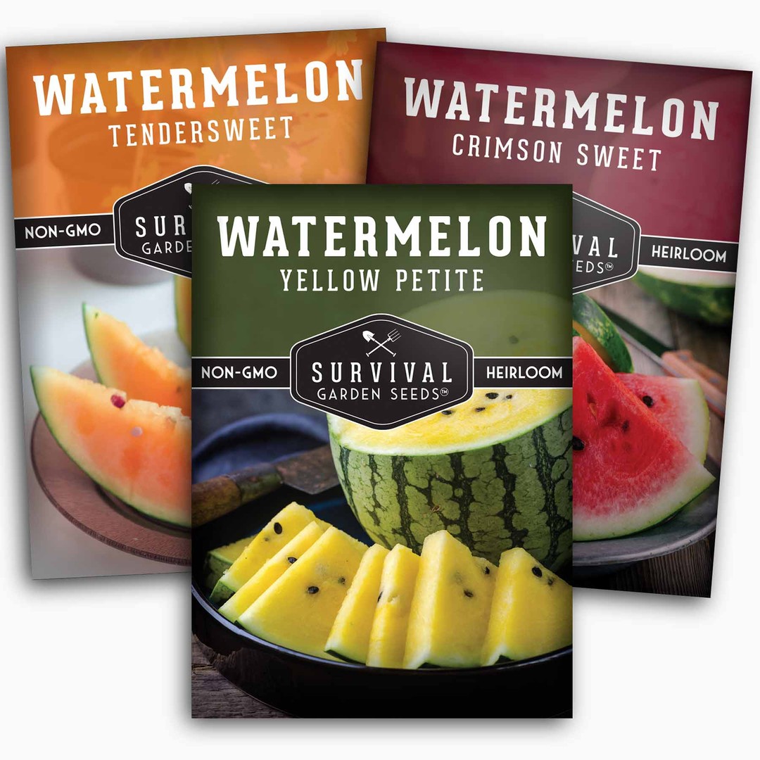 3 Packets of Heirloom Watermelon Seeds