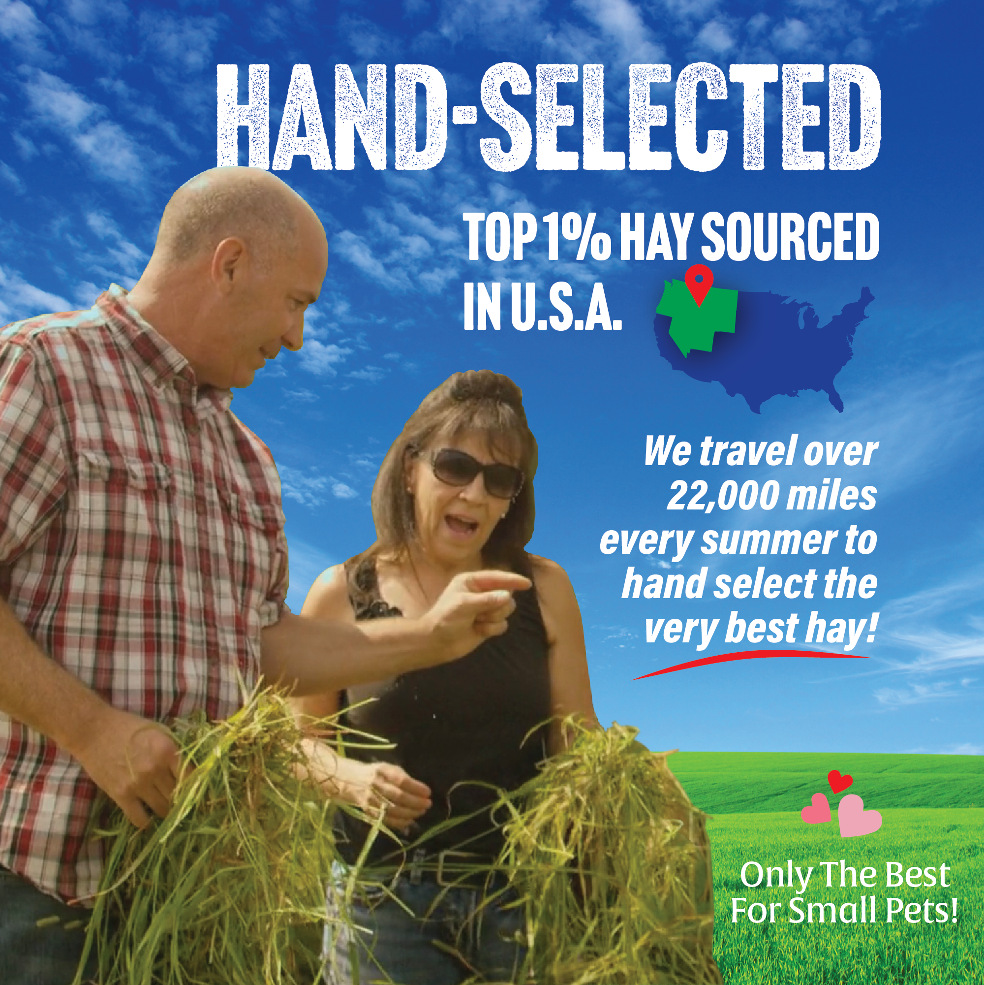 Small Pet Select hand selects the very best hay in the world