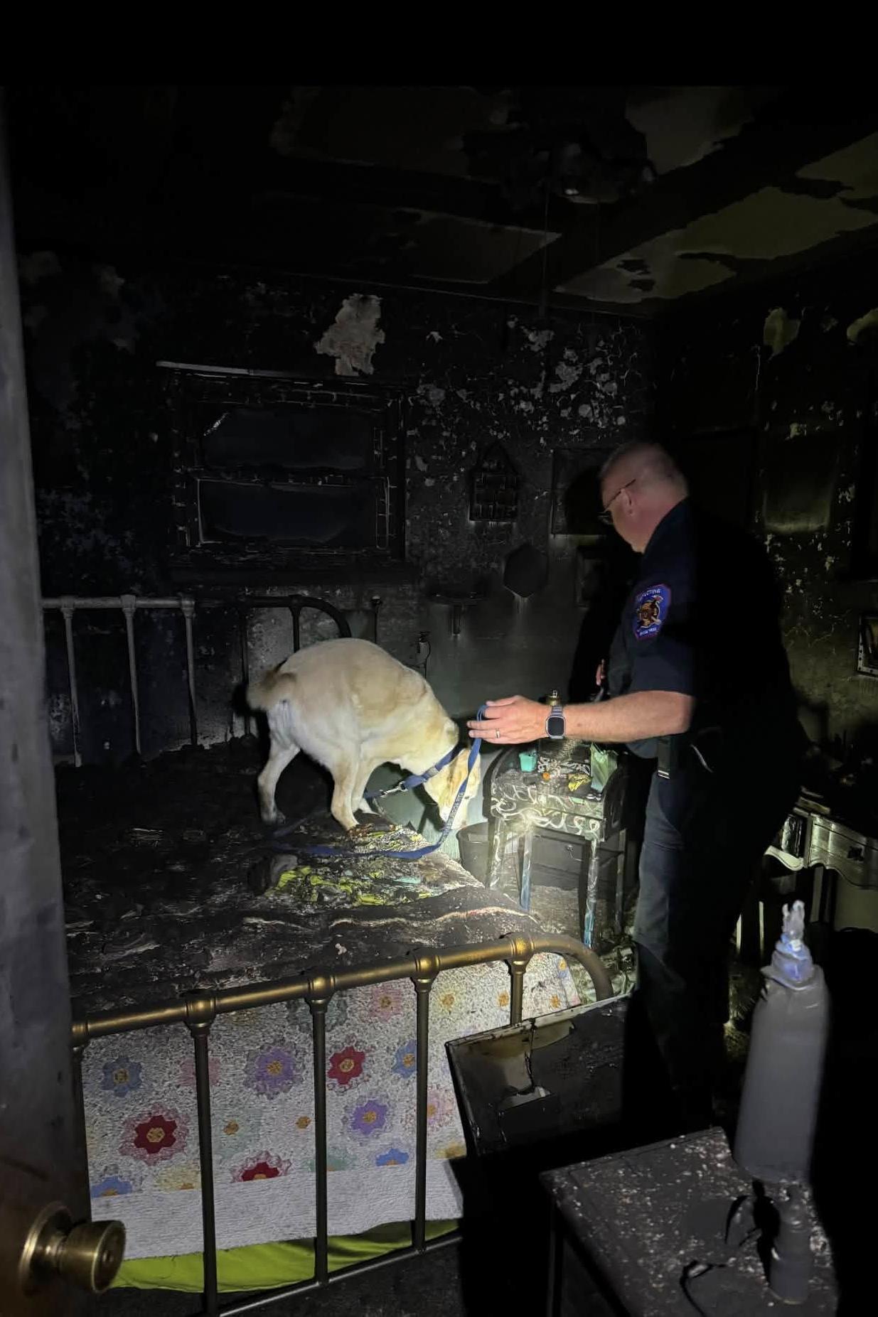 k9 benny in a burn scene