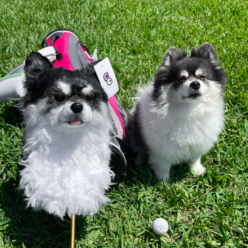 White Golf Club Headcover