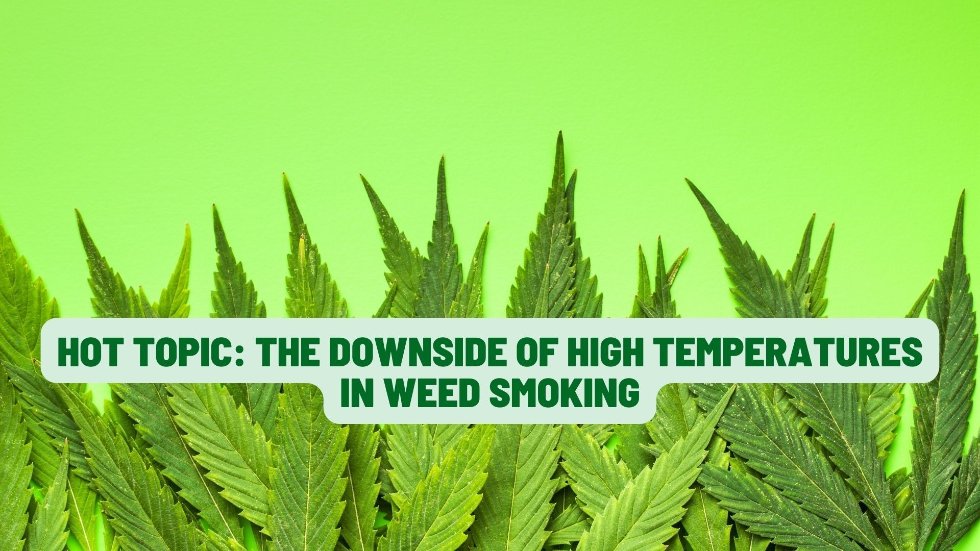 Hot Topic: The Downside of High Temperatures in Weed Smoking