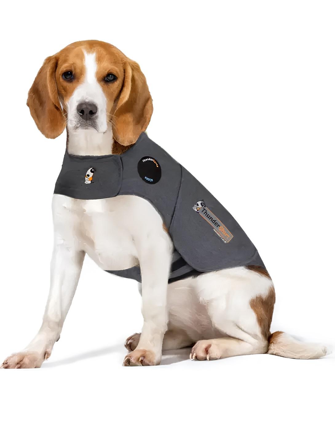 ThunderShirt