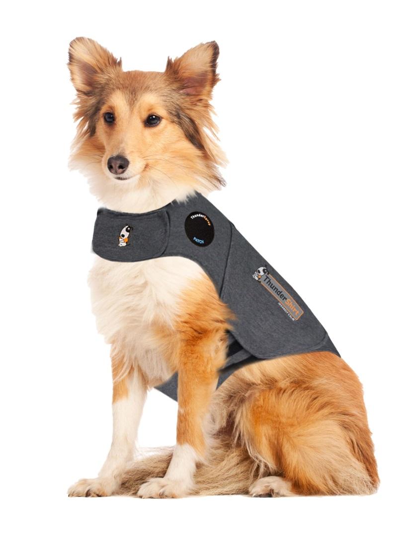 Thunder buddy for dogs top