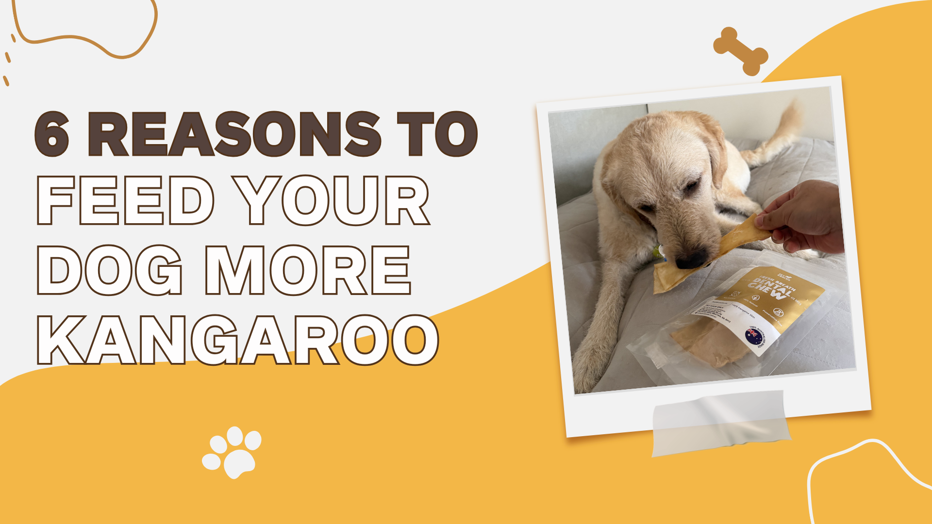 6 Reasons To Feed Your Dog More Kangaroo