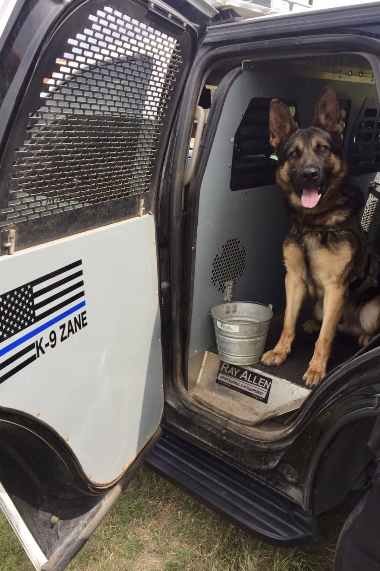 k9 zane 303 at work