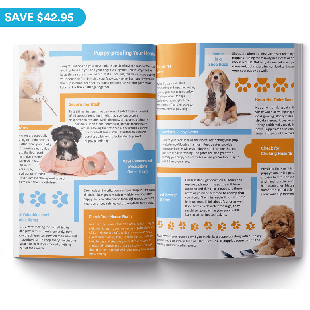 How Do You A New Dog In Your House