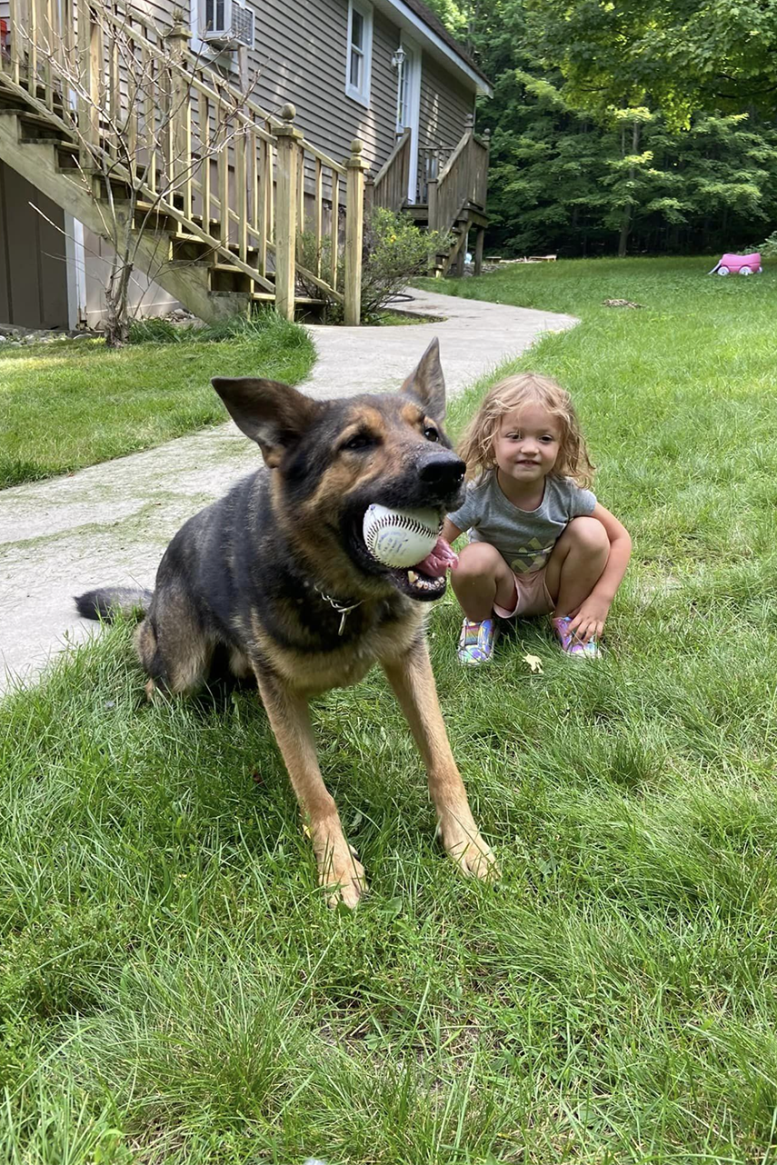 k9 chief 302 at home