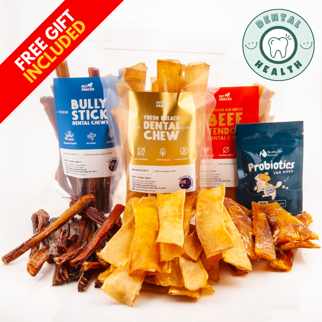 Power Chew Dental Pack