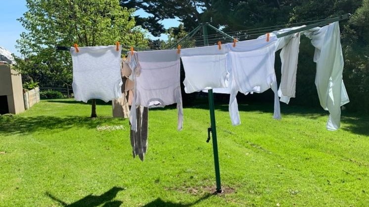 Rotary Clothesline Frequency of Laundry Days