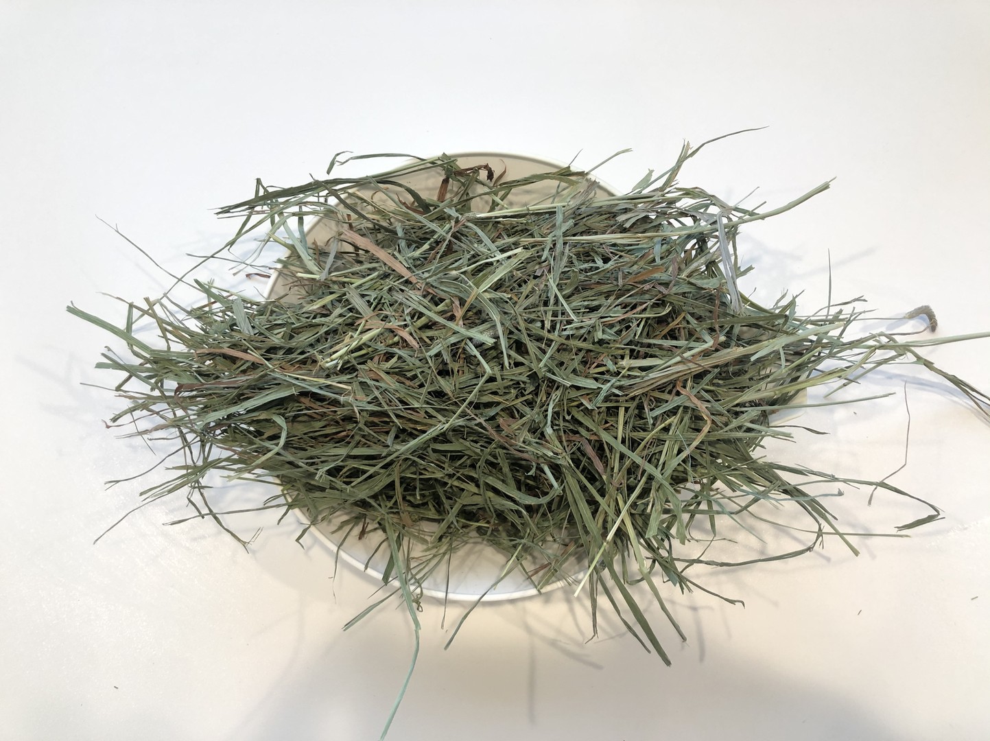 SoftTimothy Hay - Oct 2020 Report