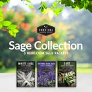 Sage Seed Collection - 3 Heirloom herb seed packets