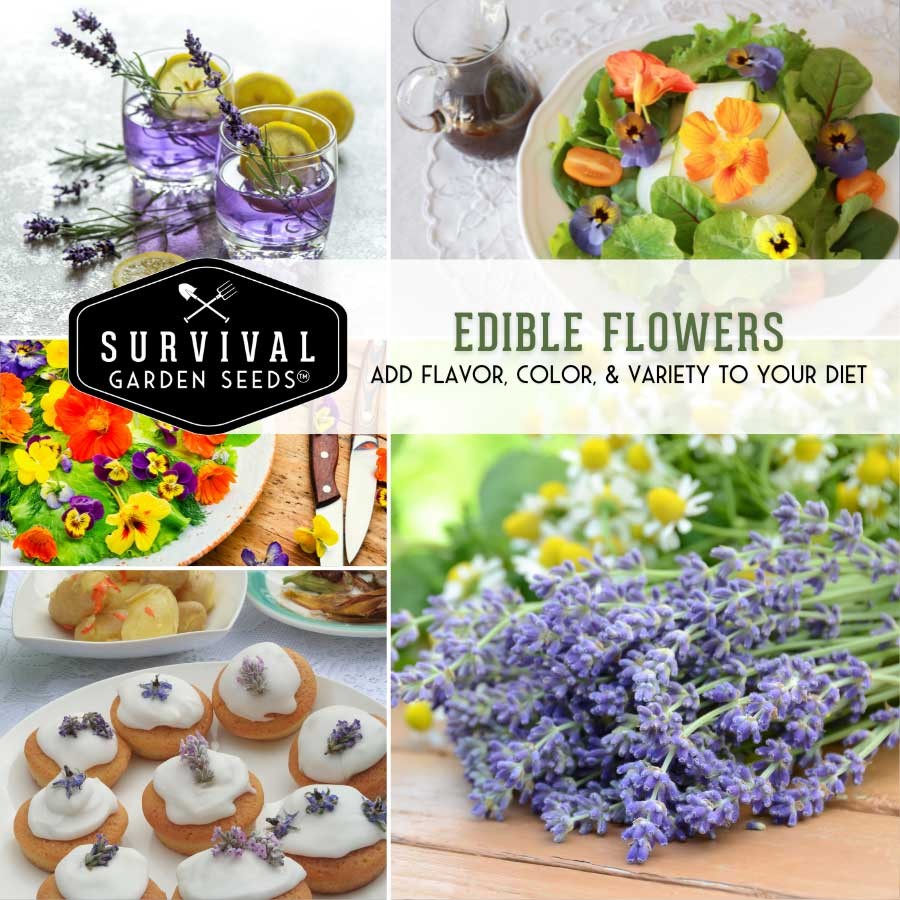 Edible Flowers Collection - add flavor, color and variety to your diet
