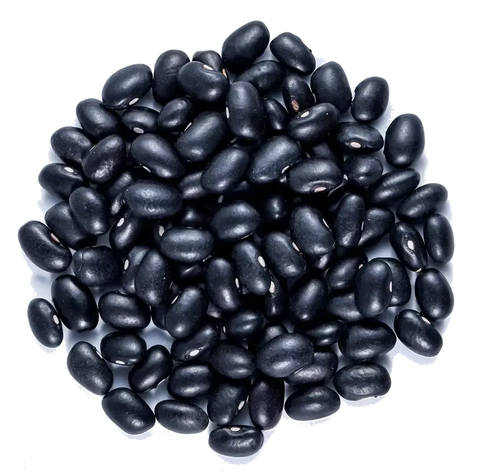 Black gram