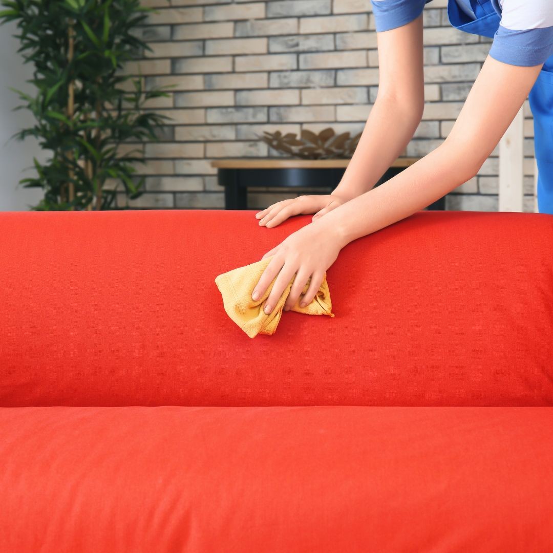 Person cleaning sofa