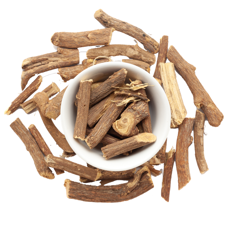 CASTOR ROOT
