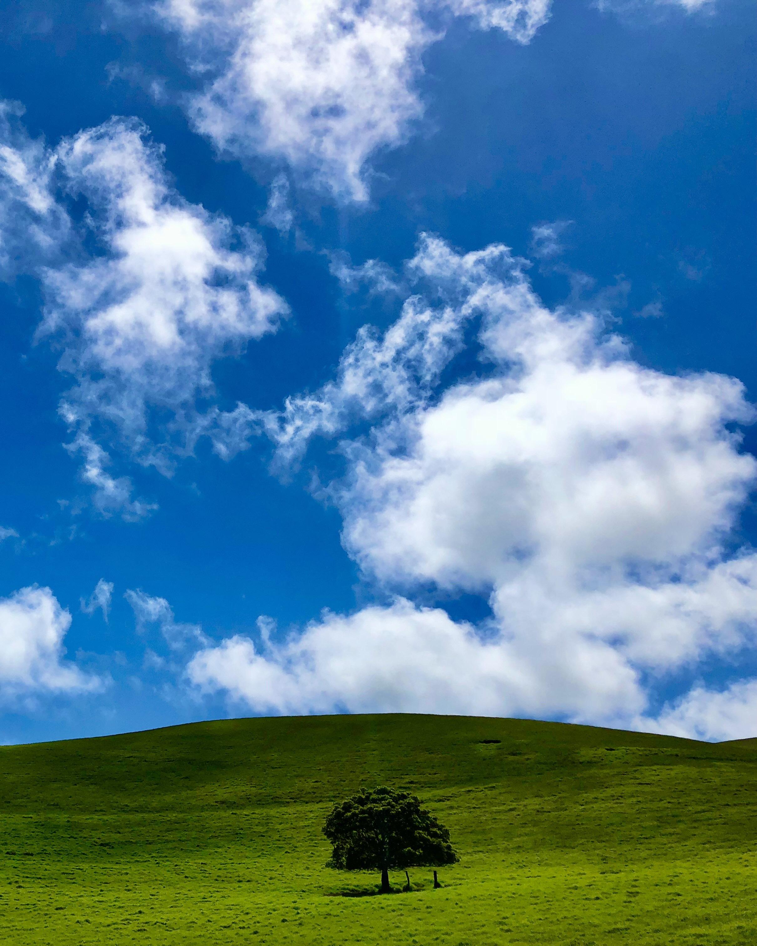 Waimea Hawaii Meadow that inspired Beaut'Air