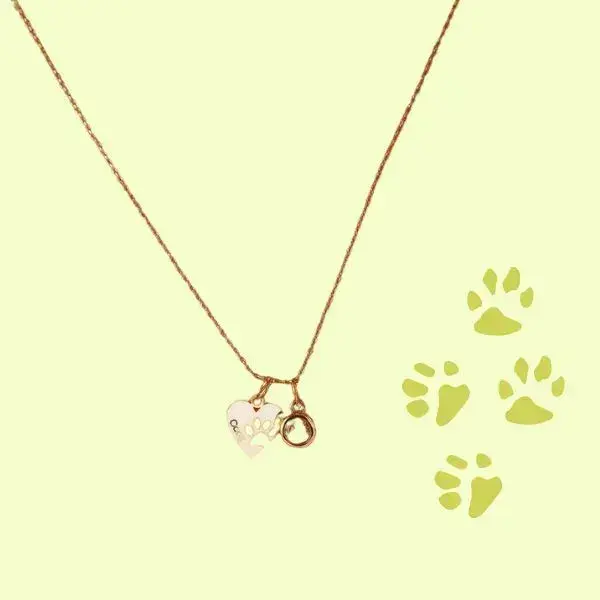 Pet Memorial Jewelry
