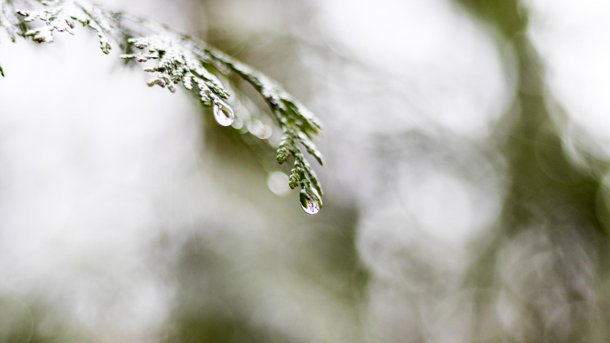 How to Stop Clothes Smelling Damp When Drying Indoors Lifestyle