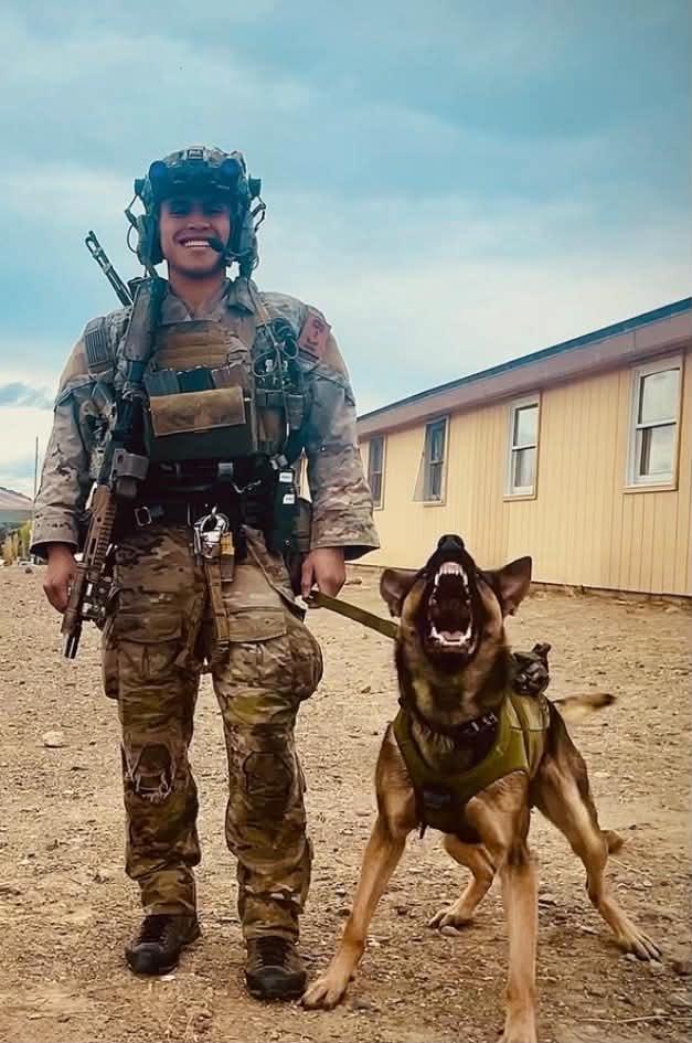 mpc jack and handler