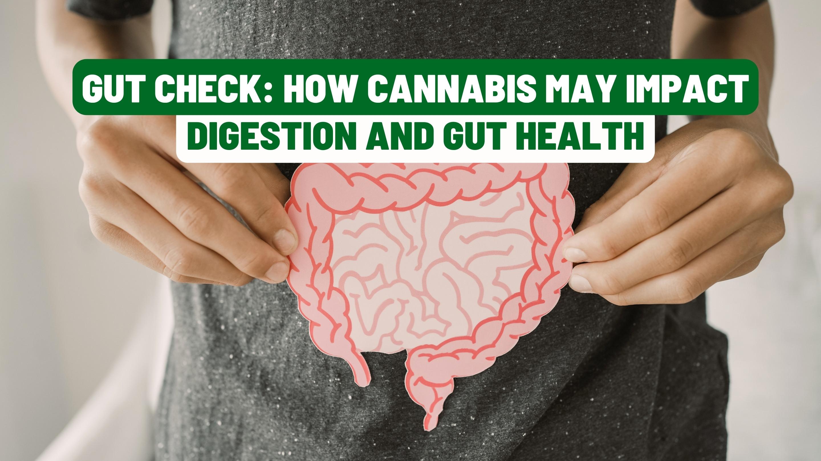 Gut Check: How Cannabis May Impact Digestion and Gut Health