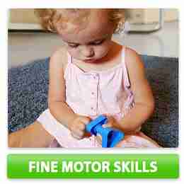 fine motor skills toys
