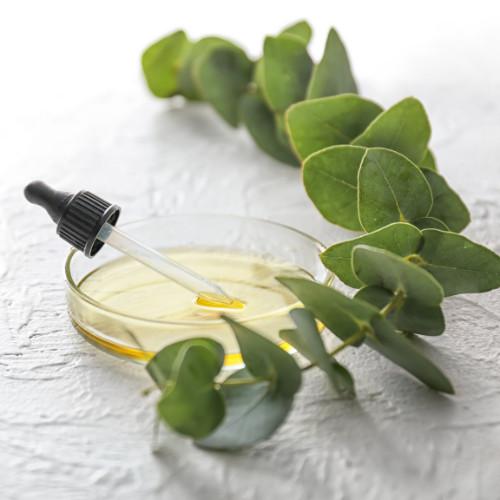 Eucalyptus Oil
