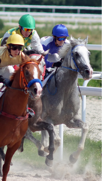 Selvita Equine Horse Racing