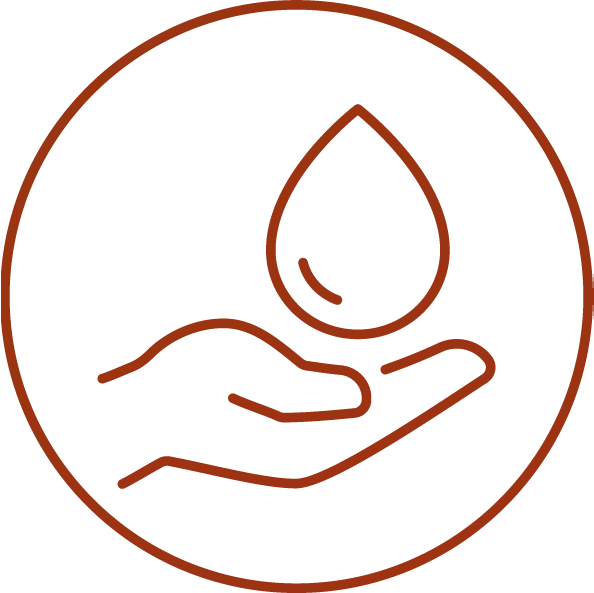 Icon 5