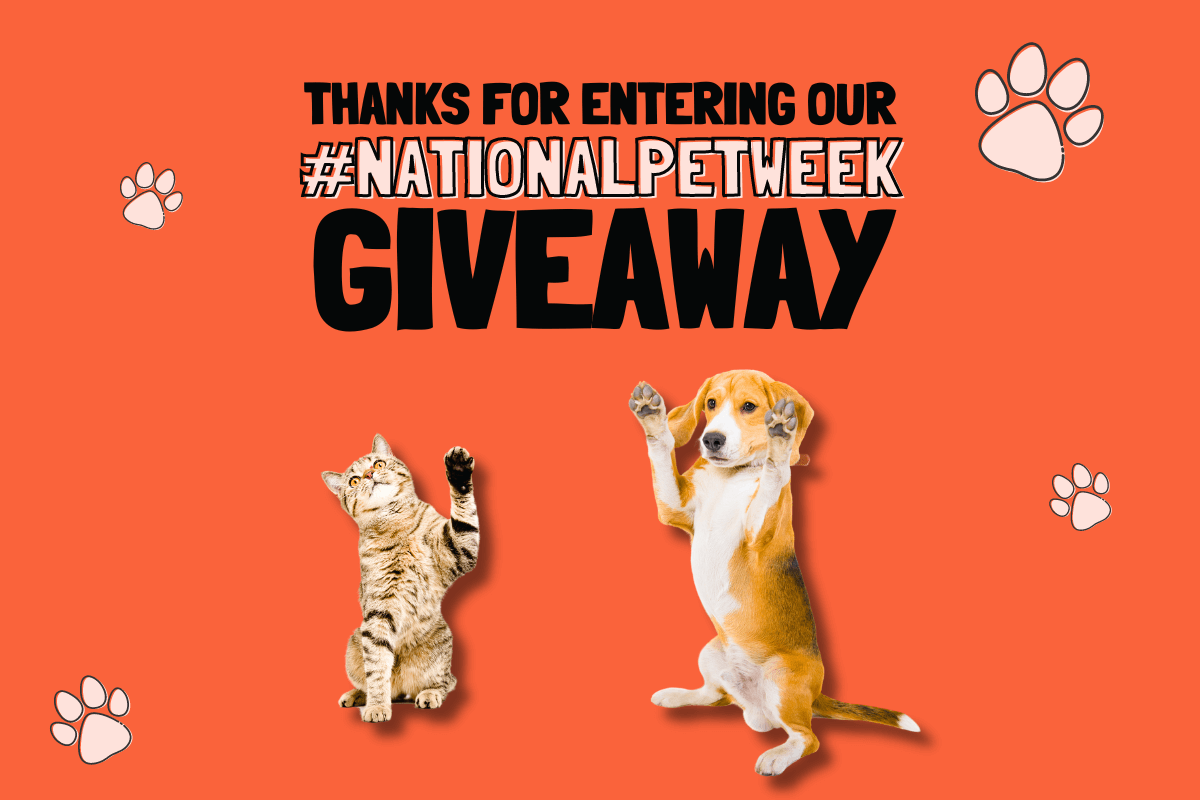 Door Buddy National Pet Week Giveaway