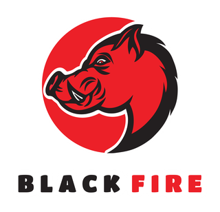 Black Fire - Atraktor na dziki 