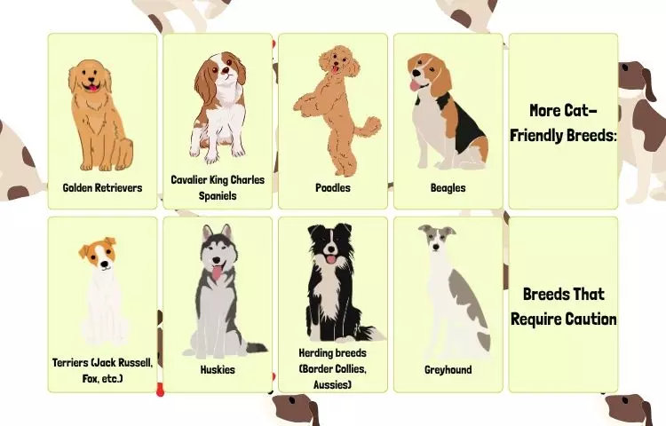 breed-specific tips for dog and cat introductions