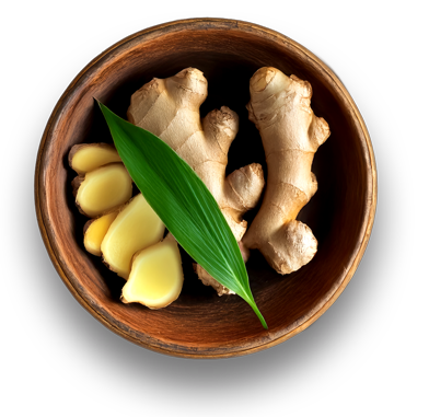 Ginger Oil