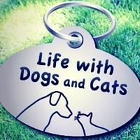 Door Buddy featured on Life with Dogs and Cats