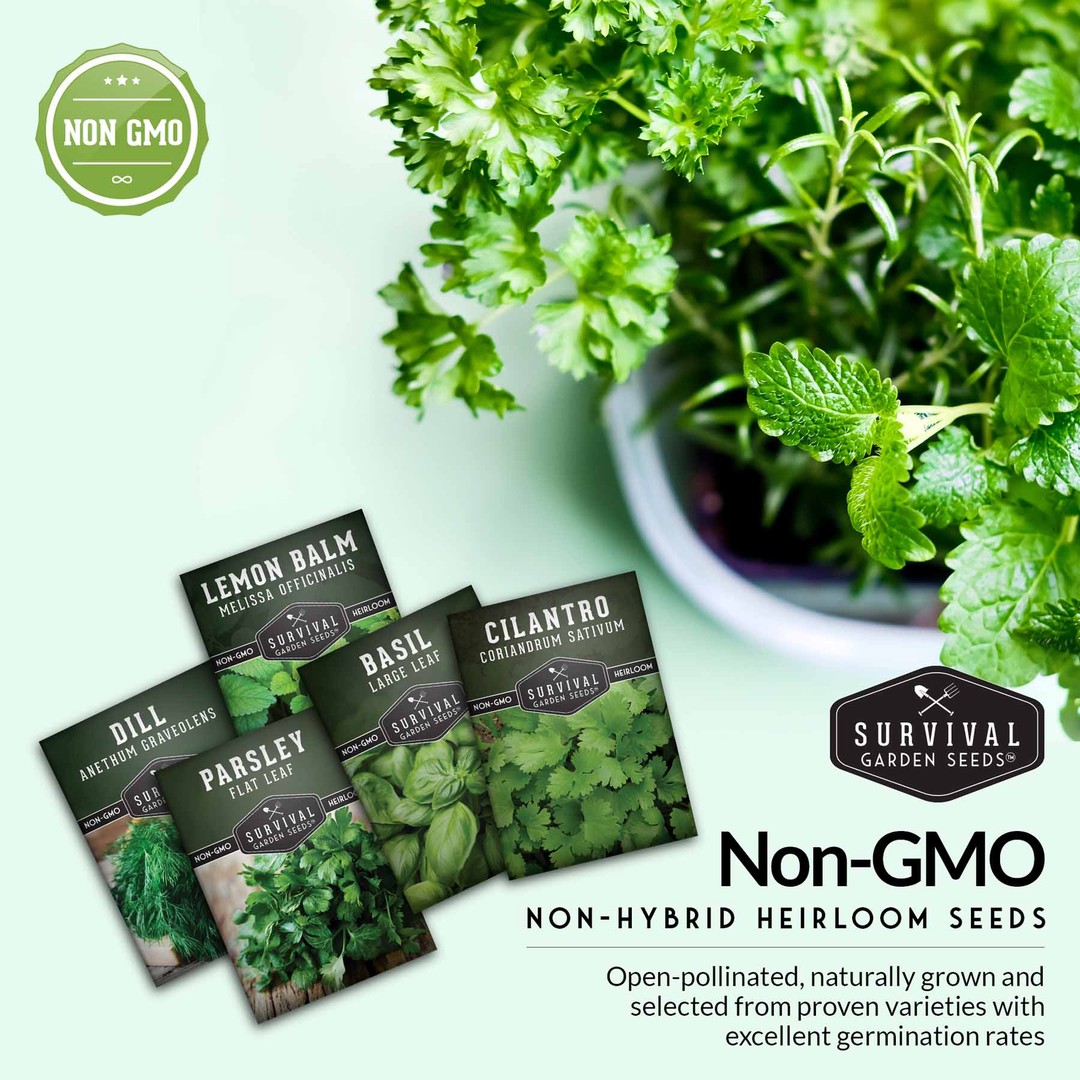 Non-GMO, non-hybrid heirloom herb seed packets