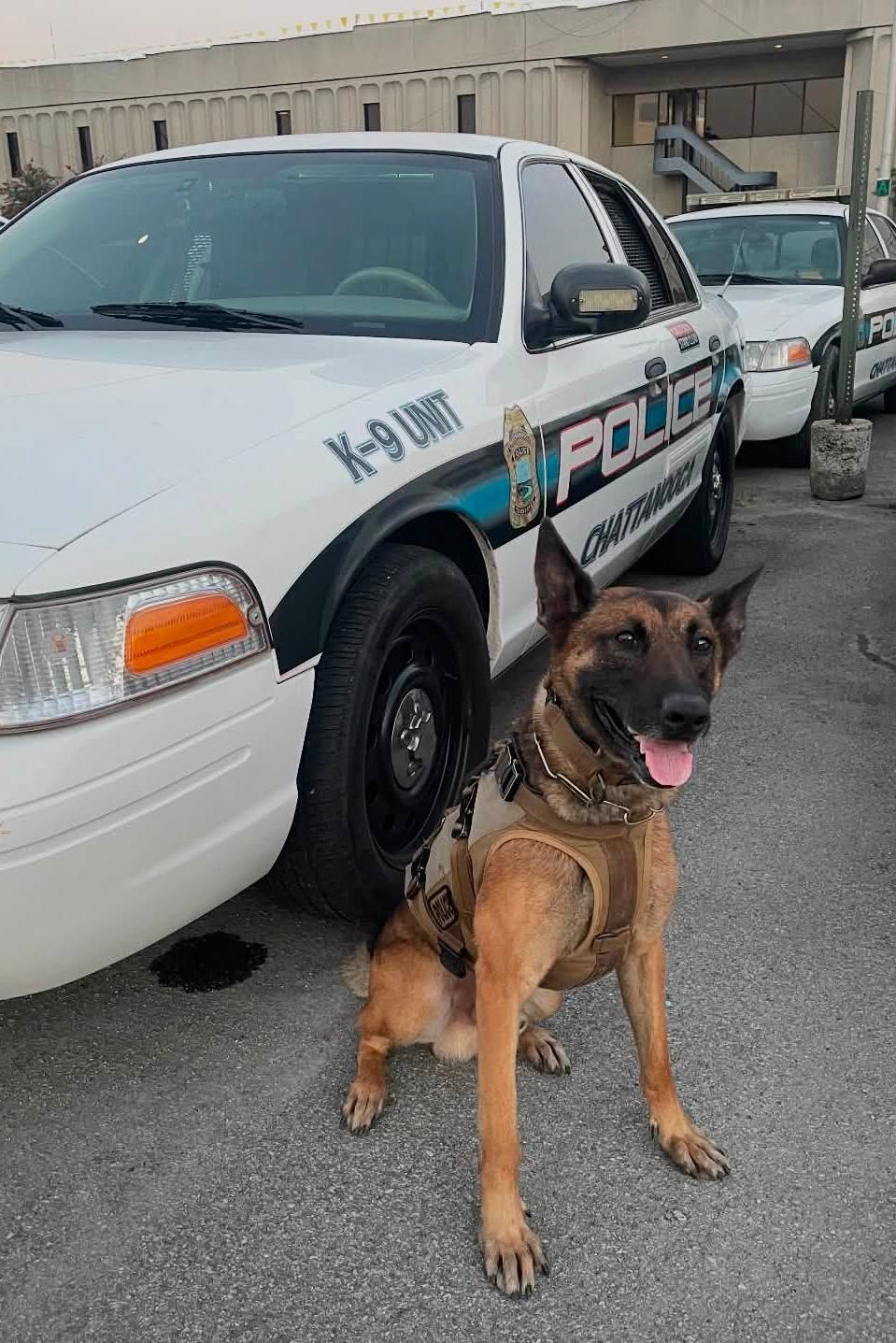 k9 burt with k9 unit car