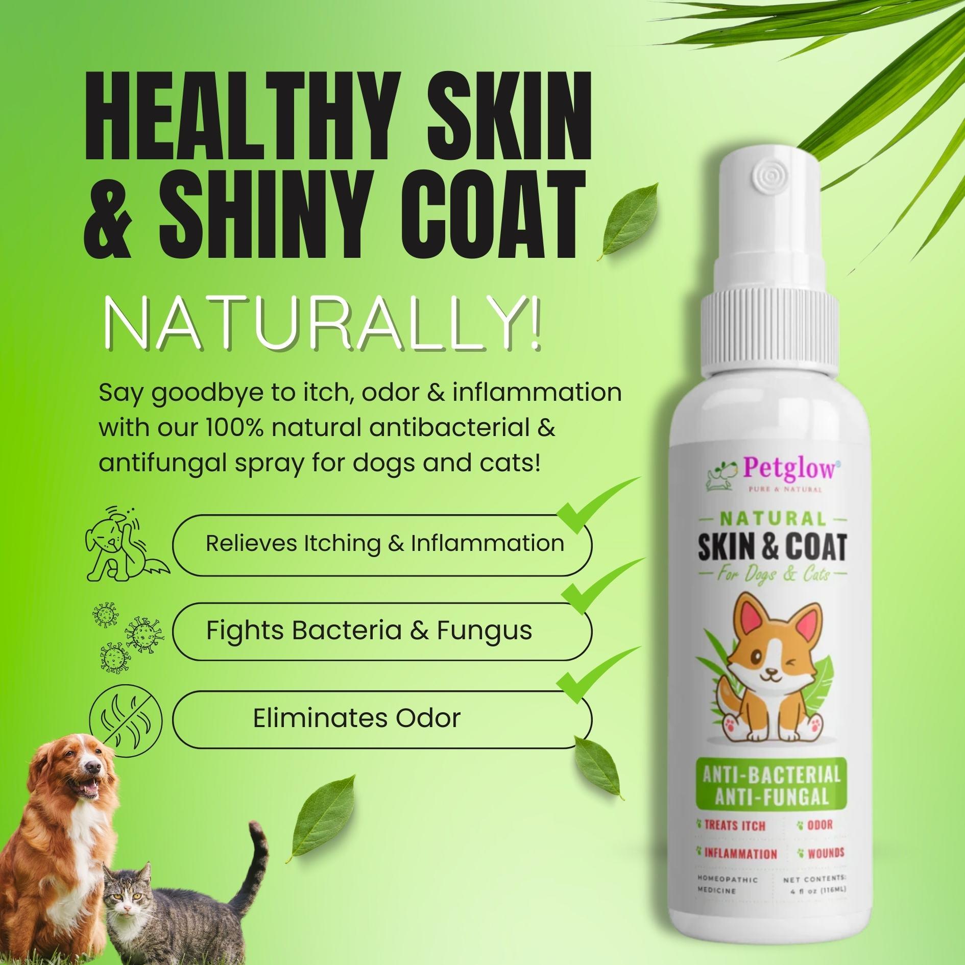 Healing Hot Dog hot spot spray Petglow